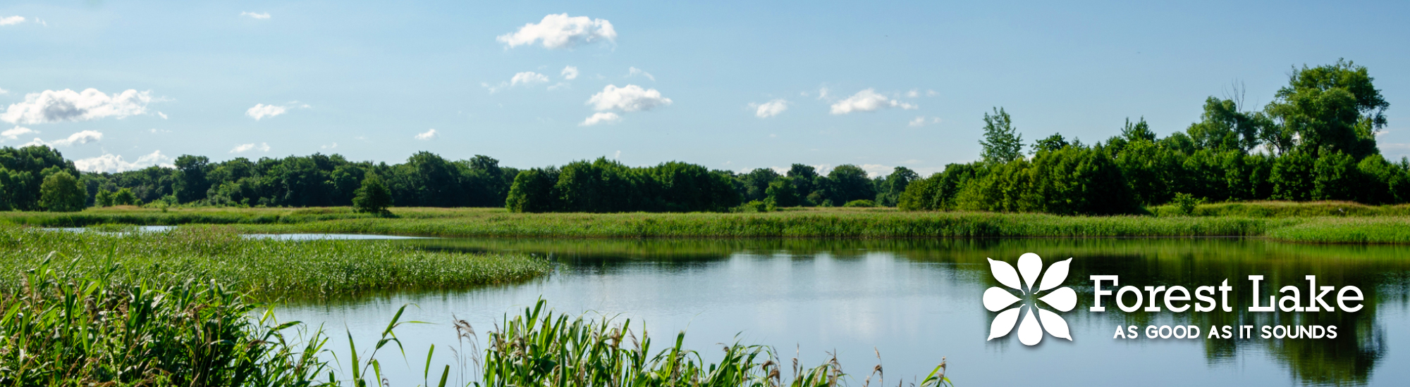 clear pond with green grass - Innovative Garage Flooring Forest Lake epoxy flooring